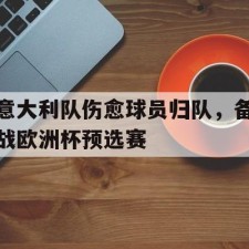 aiyouxi-意大利队伤愈球员归队，备战欧洲杯预选赛()