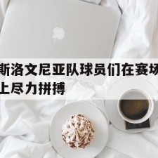 爱游戏app-斯洛文尼亚队球员们在赛场上尽力拼搏()
